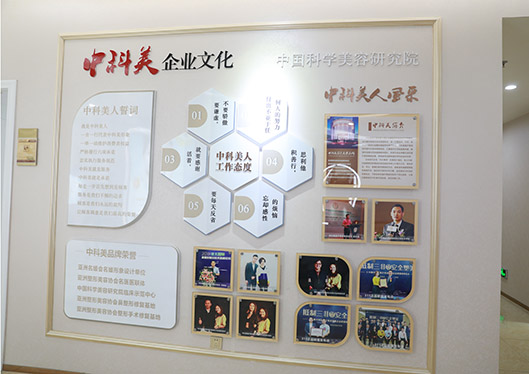 广州中科美医疗美容医院企业文化墙
